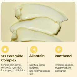 TORRIDEN SOLID-IN Ceramide Cream Clearance