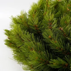 Triumph Tree Kerstkrans Best