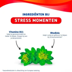 Valdispert Stress Gummies New