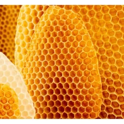 Weleda Cold Cream Gezichtscrème Outlet