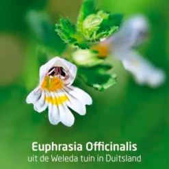 Weleda Ogentroost Oogdruppels Best