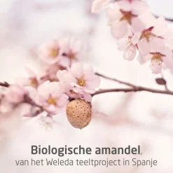 Weleda Zwangerschapsolie Sale